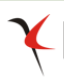 Kyra Aesthetic Clinic|Hospitals|Medical Services