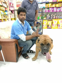 LAIKAS PET CLINIC Medical Services | Veterinary