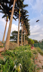 Lake Lalbagh Travel | Lake