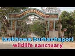 Laokhowa Wildlife Sanctuary Logo