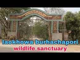 Laokhowa Wildlife Sanctuary - Logo