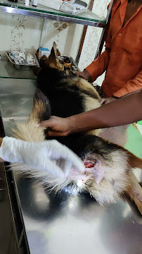 Laxmi Pet and Dog Clinic Center Medical Services | Veterinary