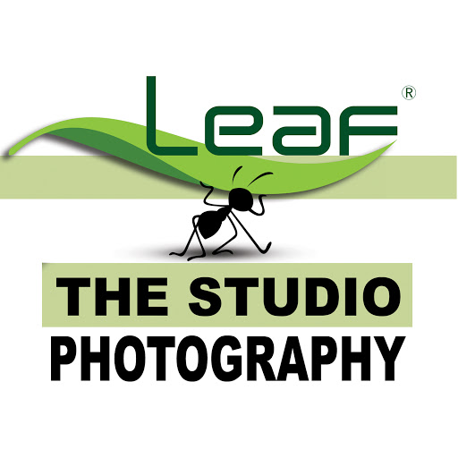 Leaf The Studio Logo