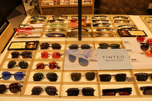 Lenskart showroom Shopping | Store