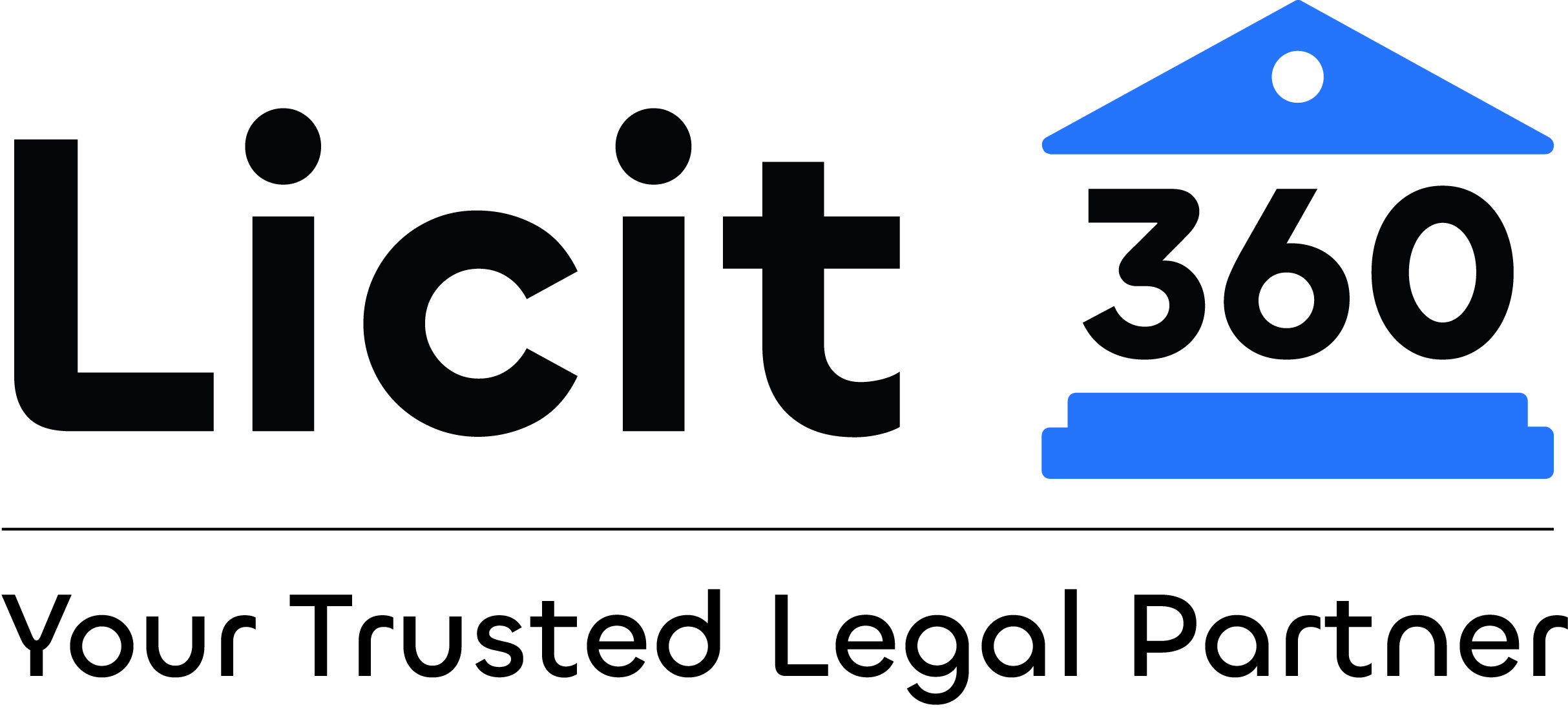 Licit360|IT Services|Professional Services