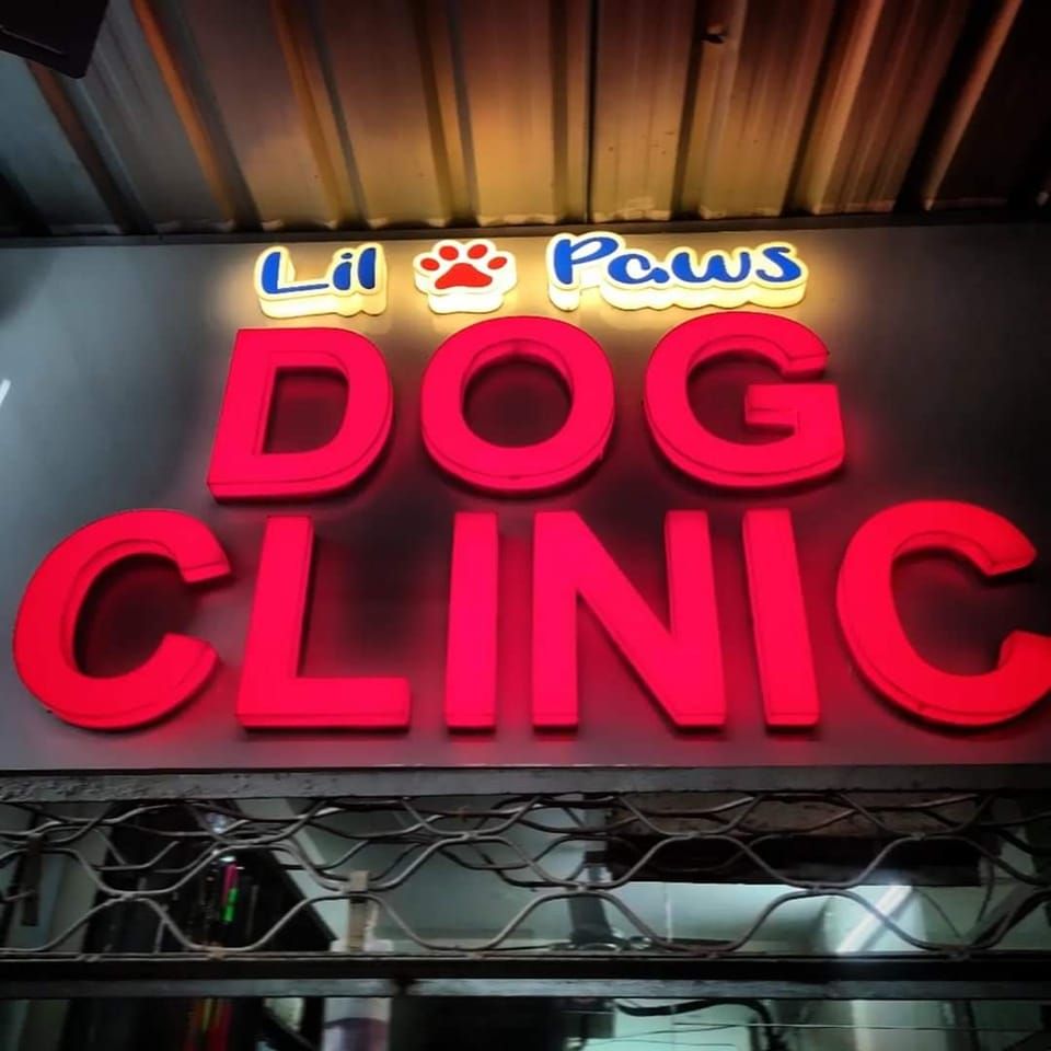 Lil Paws Dog Clinic Logo