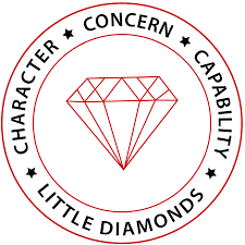 Little Diamonds Matriculation School|Schools|Education