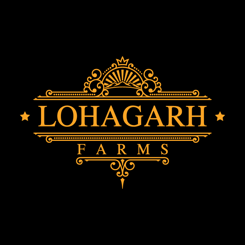Lohagarh Farms|Adventure Activities|Entertainment