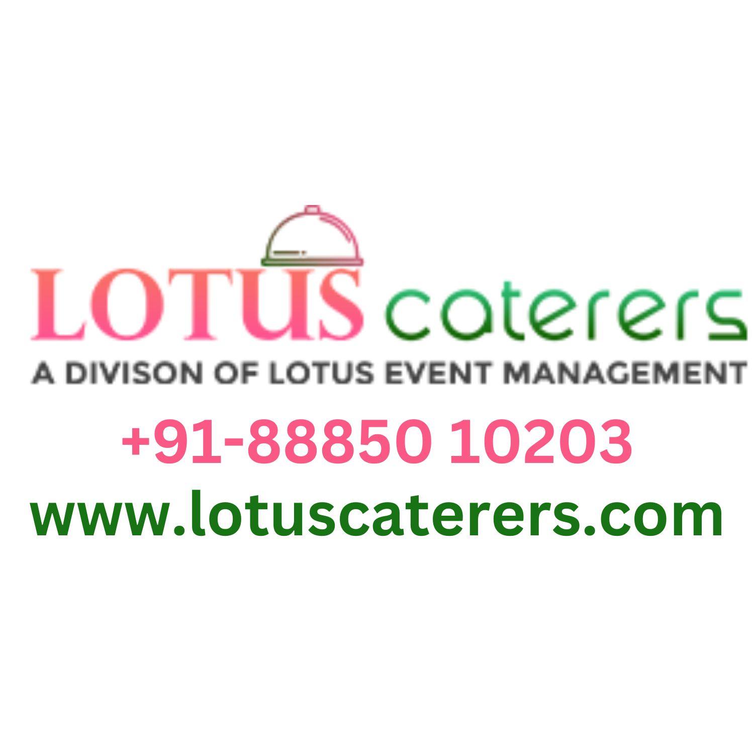 Lotus Caterers - Best Caterers in Hyderabad|Photographer|Event Services