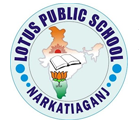 Lotus Public school|Colleges|Education