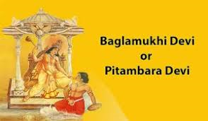 Maa Pitambara (Bagalamukhi) Temple - Amleshwar Logo