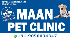 Maan pet clinic|Hospitals|Medical Services