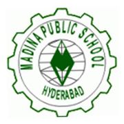 Madina Public School Logo