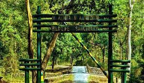 Mahananda Wildlife Sanctuary Travel | Zoo and Wildlife Sanctuary 