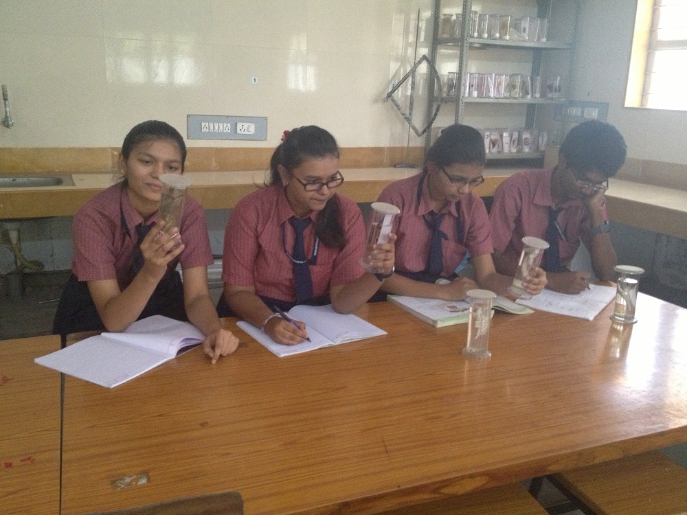 Mahapragya Vidhya Niketan Education | Schools