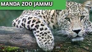 Manda Zoo Logo