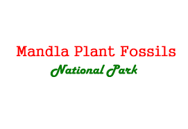 Mandla Plant Fossils National Park - Logo