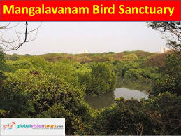 Mangalavanam Bird Sanctuary - Logo
