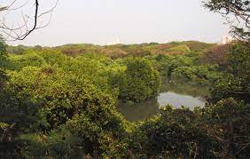 Mangalavanam Bird Sanctuary Travel | Zoo and Wildlife Sanctuary 