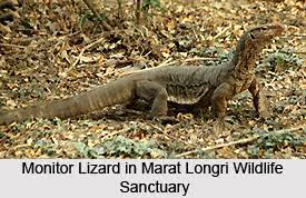 Marat Longri WLS|Zoo and Wildlife Sanctuary |Travel