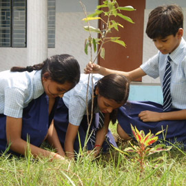 Maria Manzil Senior School Education | Schools
