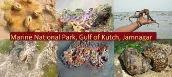 Marine National Park, Gulf of Kutch Logo