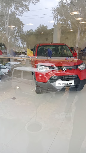 Maruti Suzuki ARENA (Patel Motors) Automotive | Show Room