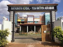 Mathumathi Herbal And Yoga Hospital - Logo