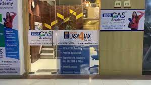 Maven Easy4Tax Pvt Ltd Professional Services | Accounting Services