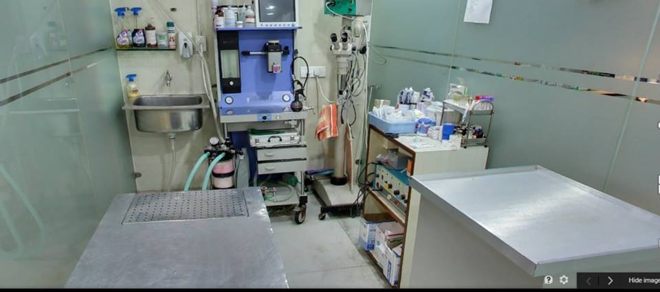 Max Vets Hospitals Greater Kailash Veterinary 01
