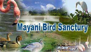 Mayani Bird Sanctuary - Logo