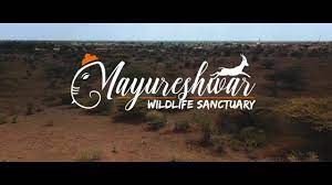 Mayureshwar Wildlife Sanctuary - Logo