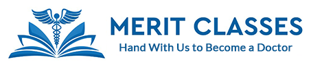 Merit Classes Logo
