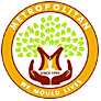 Metropolitan School|Schools|Education