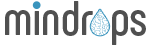 Mindrops Solutions Private Limited|IT Services|Professional Services
