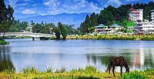 Mirik Lake Travel | Lake