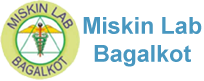 Miskin Lab - Logo