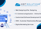 Mist Solutions Professional Services | IT Services