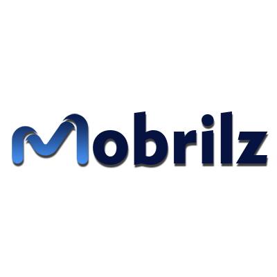 Mobrilz|IT Services|Professional Services