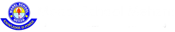 Model School,Meham Logo