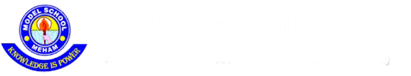 Model School,Meham|Schools|Education