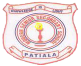 Modern Senior Secondary School Logo