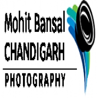 Mohit Bansal Chandigarh, Photographer|Wedding Planner|Event Services