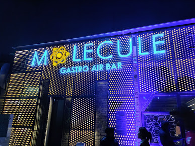 Molecule - Gastro Air Bar - Logo