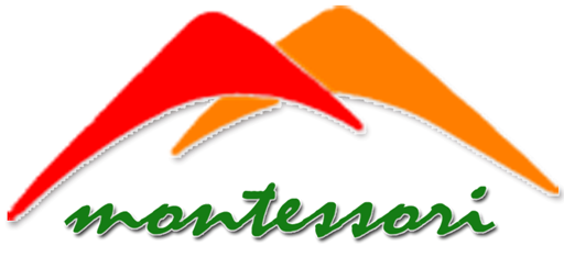 Montessori Indus E.M High School Logo