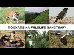 Mookambika Wildlife Sanctuary - Logo