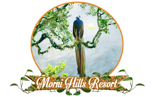 Morni Hills Resort - Logo