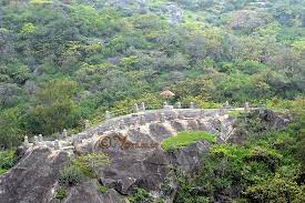 Mount Abu Wildlife Sanctuary Travel | Zoo and Wildlife Sanctuary 