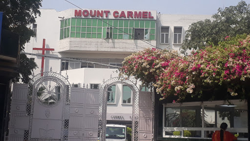 Mount Carmel School Education | Schools