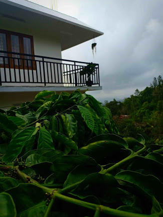 Mountain Breeze Villa And Homestay Accomodation | Home-stay
